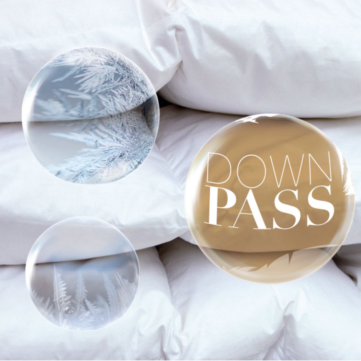 Update: Von Revision über Heizkosten sparen bis Instagram