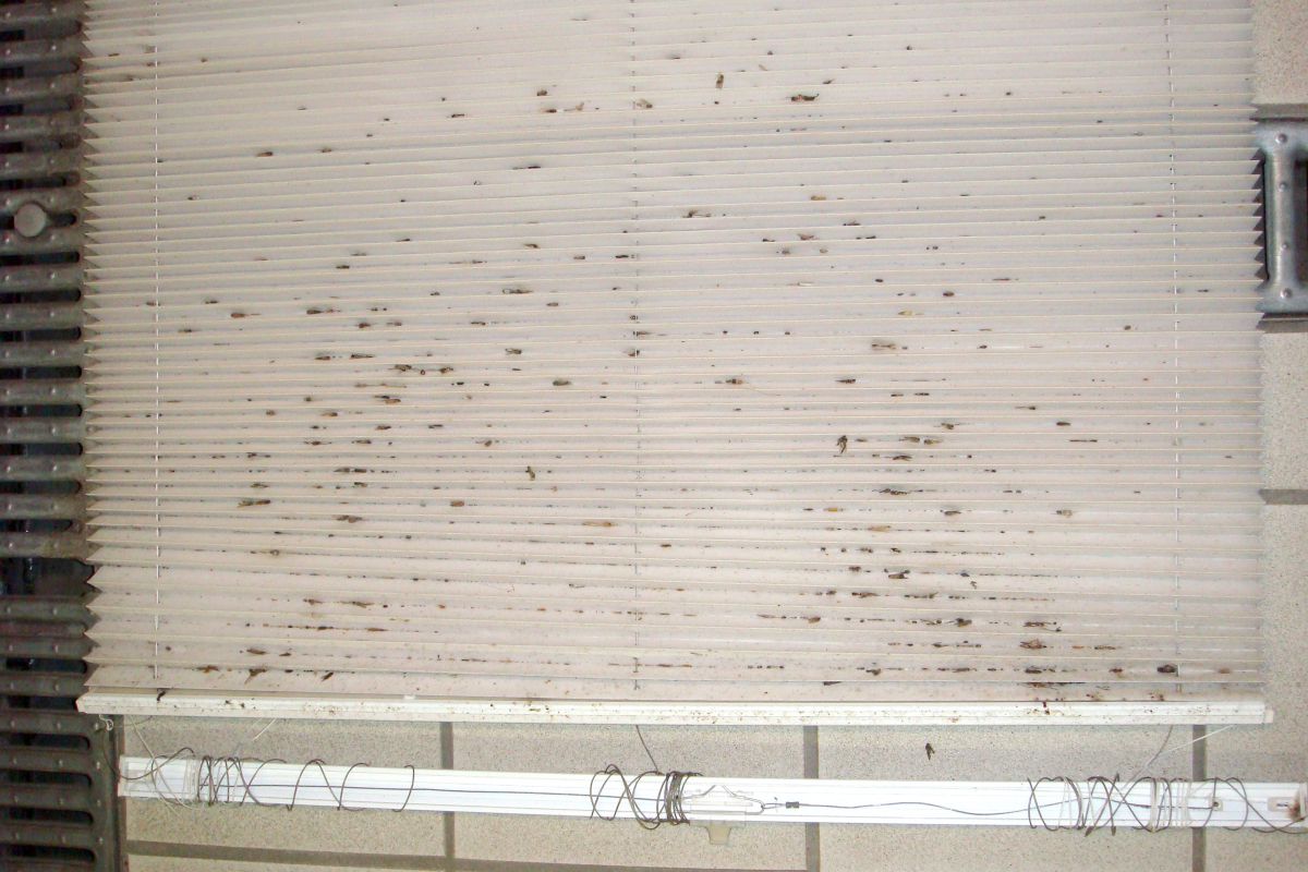 Wintergartenbeschattung stellt besondere Anforderungen an die Reinigung