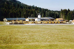 Franz Neuhofer, Zell am Moos